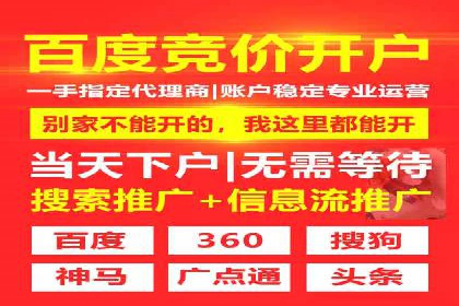 某品牌SEM广告的蜕变——代运营公司的力量